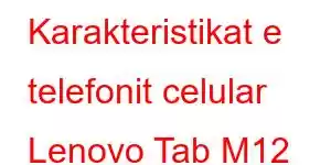 Karakteristikat e telefonit celular Lenovo Tab M12