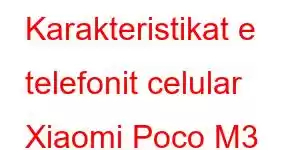 Karakteristikat e telefonit celular Xiaomi Poco M3