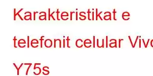 Karakteristikat e telefonit celular Vivo Y75s