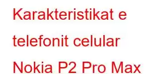 Karakteristikat e telefonit celular Nokia P2 Pro Max