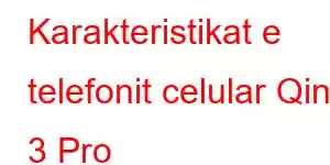 Karakteristikat e telefonit celular Qin 3 Pro