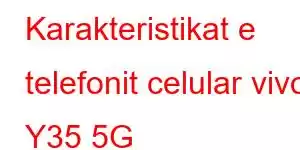 Karakteristikat e telefonit celular vivo Y35 5G