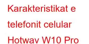 Karakteristikat e telefonit celular Hotwav W10 Pro