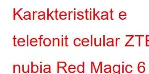 Karakteristikat e telefonit celular ZTE nubia Red Magic 6 Pro