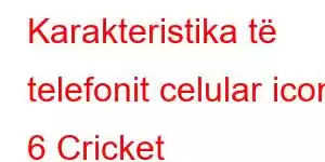 Karakteristika të telefonit celular icon 6 Cricket