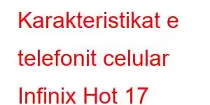 Karakteristikat e telefonit celular Infinix Hot 17