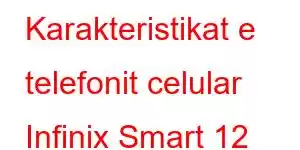 Karakteristikat e telefonit celular Infinix Smart 12