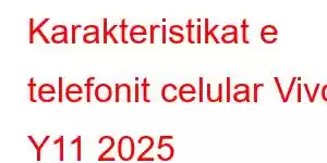 Karakteristikat e telefonit celular Vivo Y11 2025