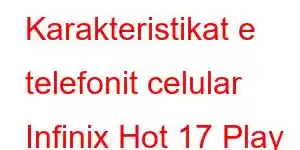 Karakteristikat e telefonit celular Infinix Hot 17 Play