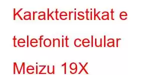 Karakteristikat e telefonit celular Meizu 19X