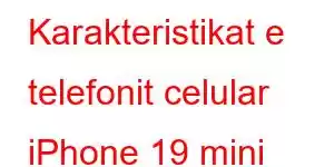 Karakteristikat e telefonit celular iPhone 19 mini