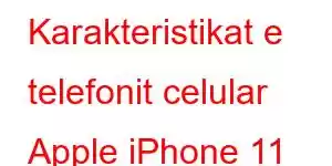 Karakteristikat e telefonit celular Apple iPhone 11