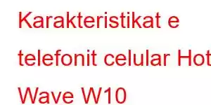 Karakteristikat e telefonit celular Hot Wave W10