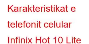 Karakteristikat e telefonit celular Infinix Hot 10 Lite