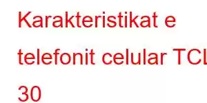 Karakteristikat e telefonit celular TCL 30