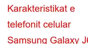 Karakteristikat e telefonit celular Samsung Galaxy J6