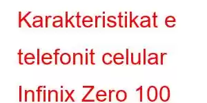 Karakteristikat e telefonit celular Infinix Zero 100