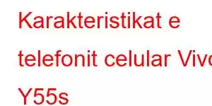 Karakteristikat e telefonit celular Vivo Y55s