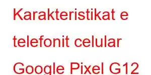 Karakteristikat e telefonit celular Google Pixel G12