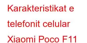 Karakteristikat e telefonit celular Xiaomi Poco F11