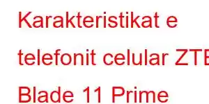 Karakteristikat e telefonit celular ZTE Blade 11 Prime