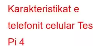 Karakteristikat e telefonit celular Tesla Pi 4