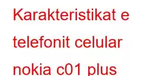 Karakteristikat e telefonit celular nokia c01 plus