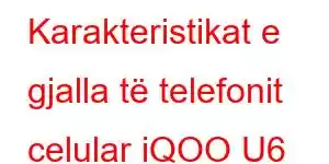 Karakteristikat e gjalla të telefonit celular iQOO U6