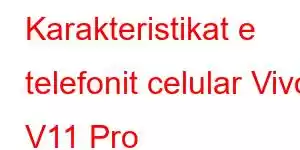 Karakteristikat e telefonit celular Vivo V11 Pro