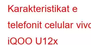 Karakteristikat e telefonit celular vivo iQOO U12x