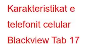 Karakteristikat e telefonit celular Blackview Tab 17