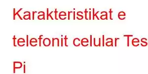 Karakteristikat e telefonit celular Tesla Pi