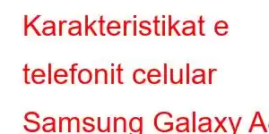 Karakteristikat e telefonit celular Samsung Galaxy A8 Star (A9 Star).