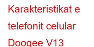 Karakteristikat e telefonit celular Doogee V13