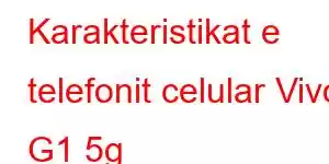 Karakteristikat e telefonit celular Vivo G1 5g