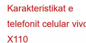 Karakteristikat e telefonit celular vivo X110