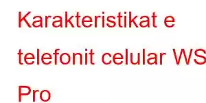 Karakteristikat e telefonit celular WS3 Pro