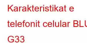 Karakteristikat e telefonit celular BLU G33