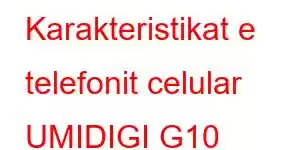 Karakteristikat e telefonit celular UMIDIGI G10