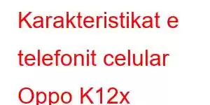 Karakteristikat e telefonit celular Oppo K12x