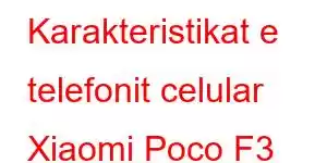 Karakteristikat e telefonit celular Xiaomi Poco F3