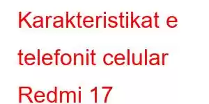 Karakteristikat e telefonit celular Redmi 17