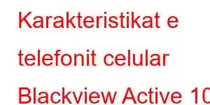 Karakteristikat e telefonit celular Blackview Active 10 Pro
