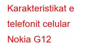 Karakteristikat e telefonit celular Nokia G12