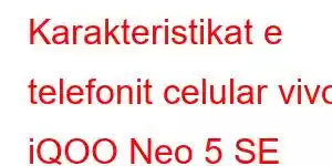 Karakteristikat e telefonit celular vivo iQOO Neo 5 SE