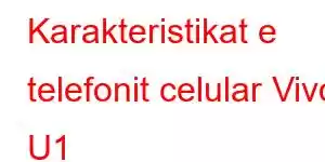 Karakteristikat e telefonit celular Vivo U1