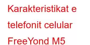 Karakteristikat e telefonit celular FreeYond M5