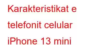 Karakteristikat e telefonit celular iPhone 13 mini