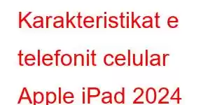 Karakteristikat e telefonit celular Apple iPad 2024