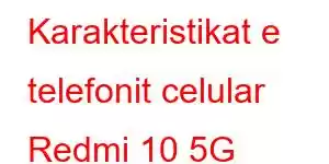 Karakteristikat e telefonit celular Redmi 10 5G